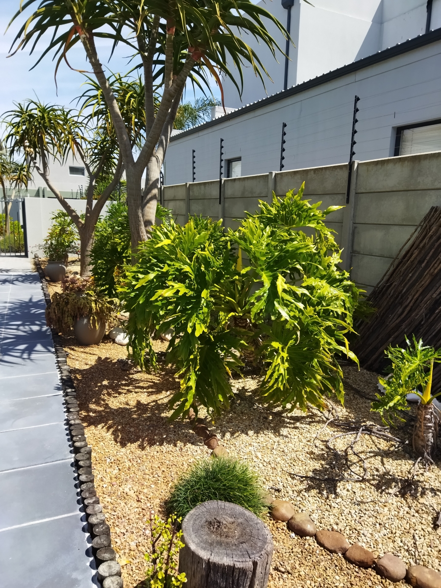 5 Bedroom Property for Sale in Parklands North Western Cape